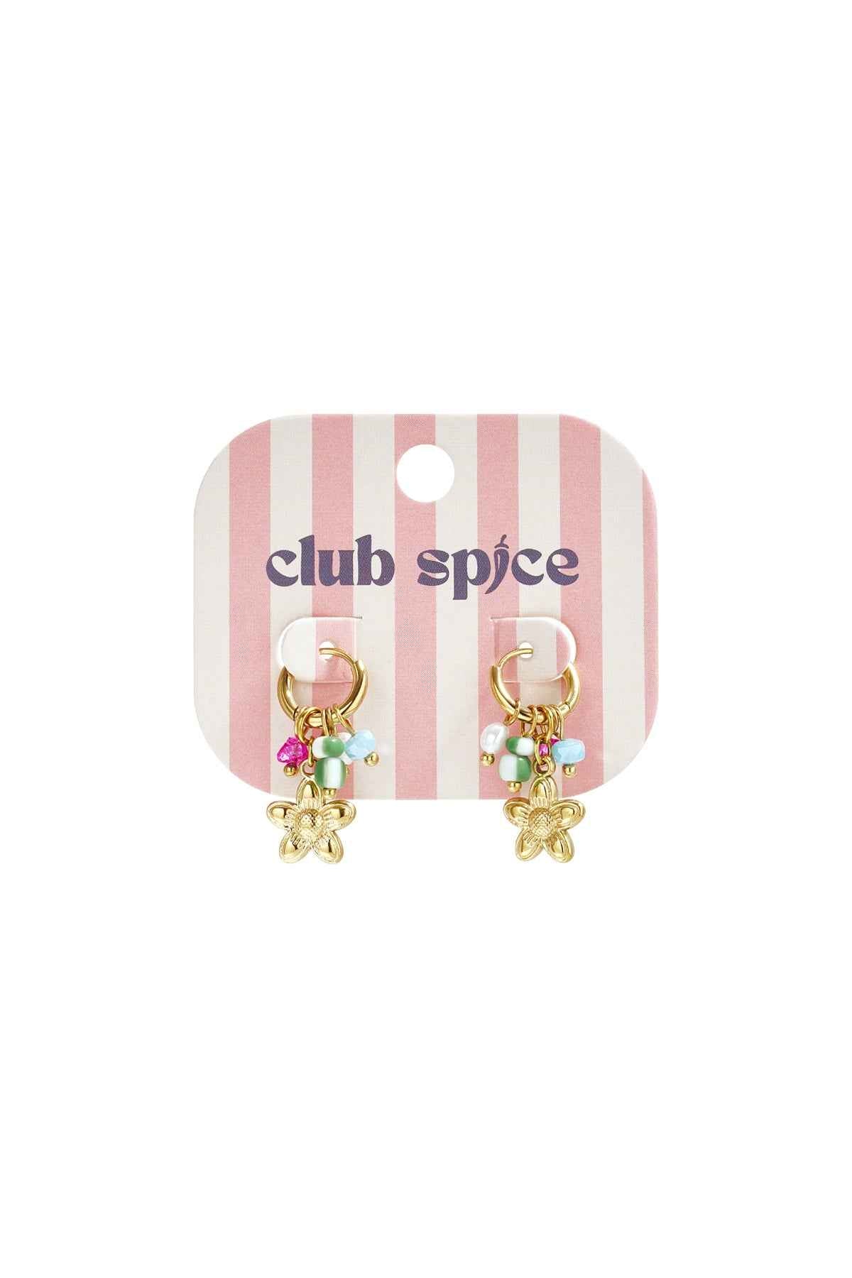 Stainless Steel Drop Earrings Flower Casual Daily Romantic Series Women's jewelry