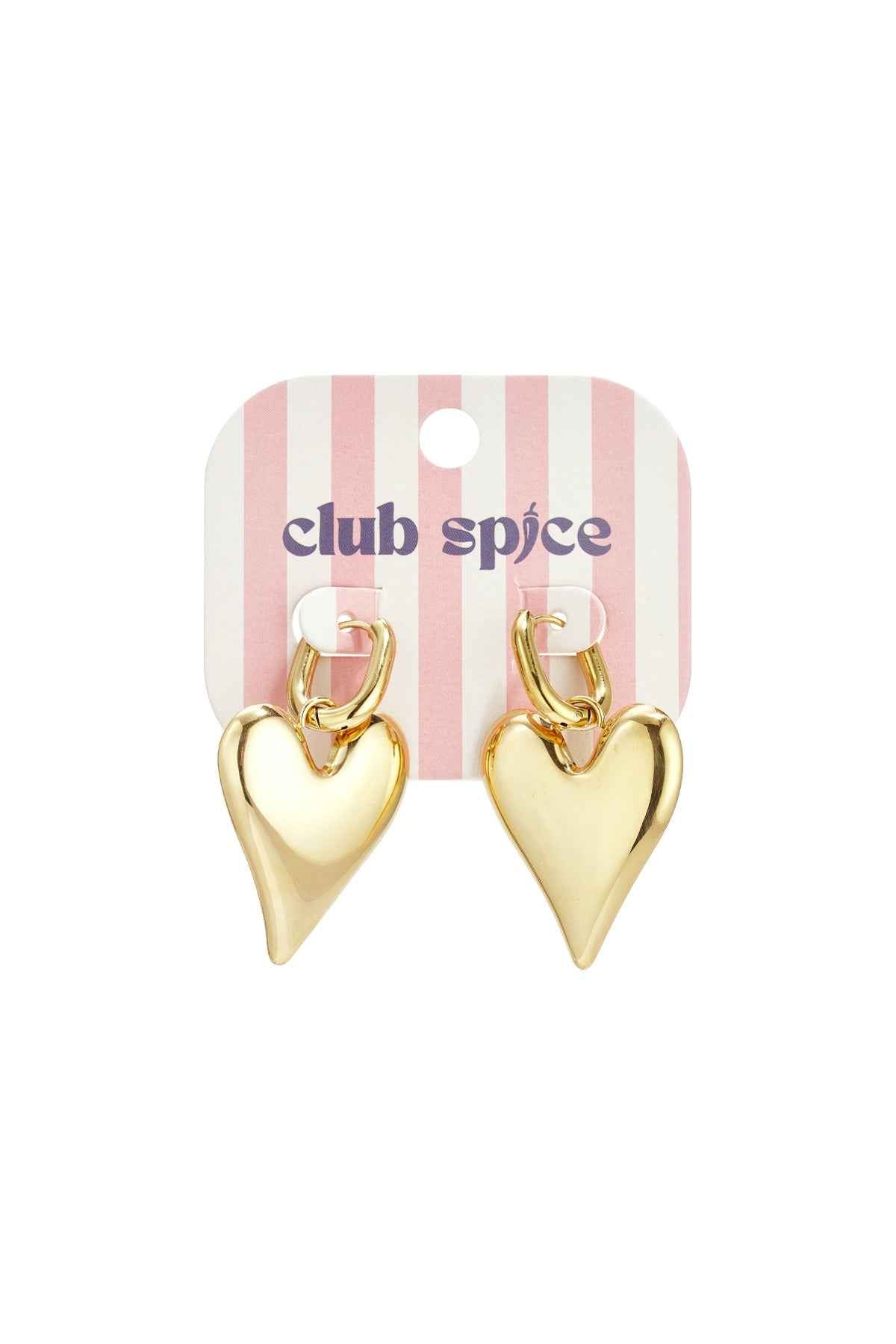 Stainless Steel Drop Earrings Heart Casual Daily Simple Series Women's jewelry