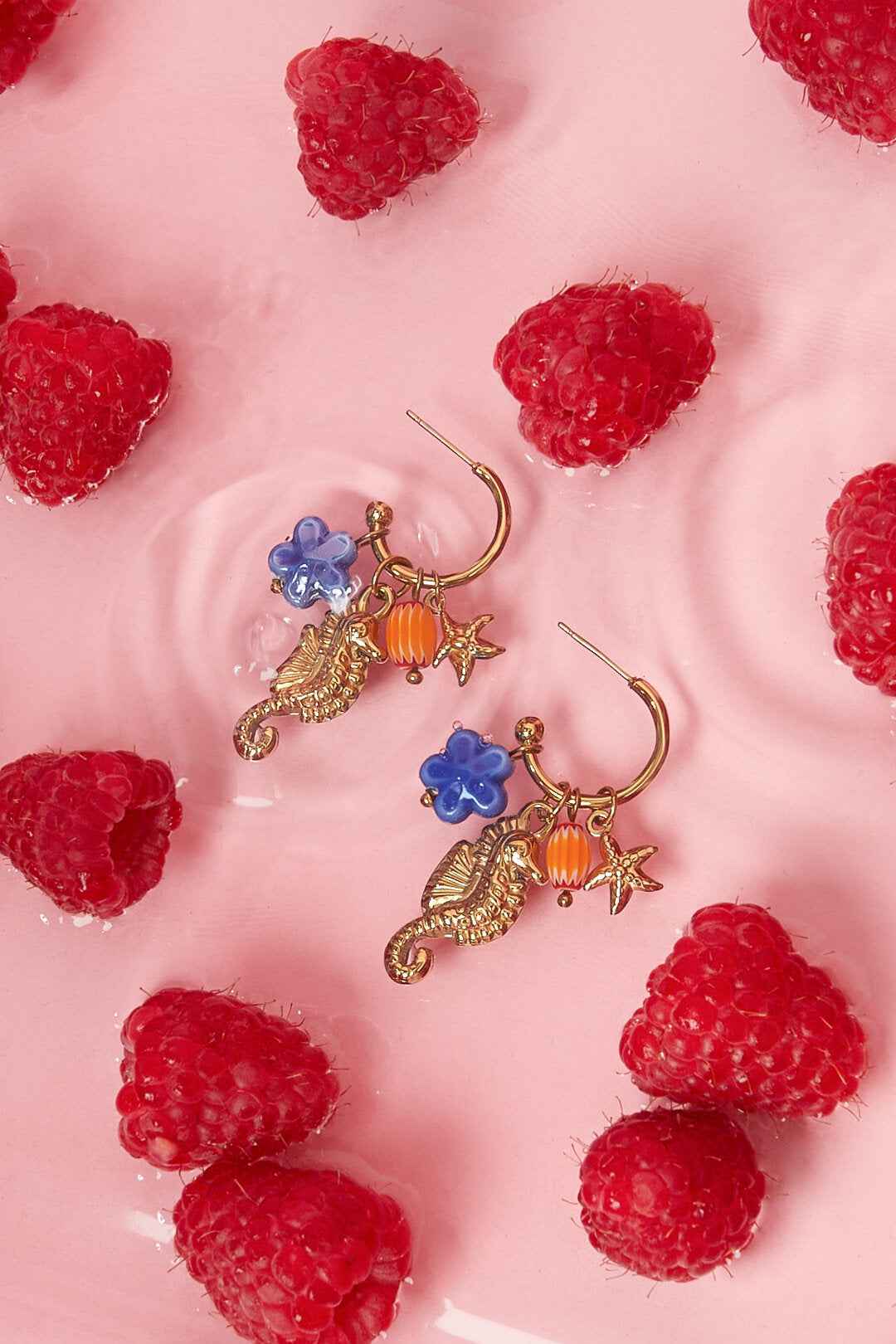 Oorringen met zeepaardje en charms
