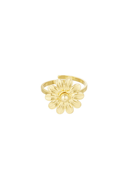 Elegant Adjustable Statement Ring in Silver and Gold