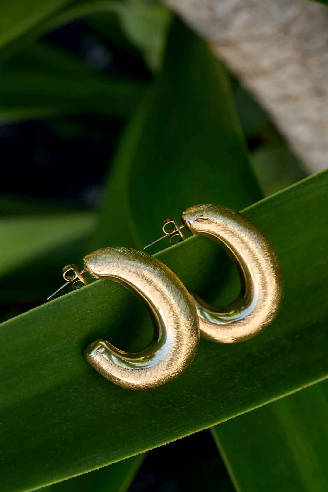 Hoop Earrings circle Casual Daily Simple Series Women's jewelry