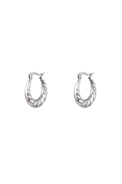Stylish Stainless Steel Hoop Earrings - Silver & Gold