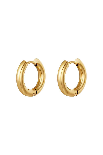 Elegant Silver & Gold Hoop Earrings for Everyday Wear