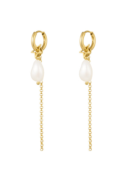 Elegant Drop Earrings in Silver & Gold