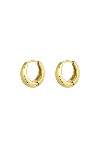 Stylish Basic Hoop Earrings in Silver & Gold