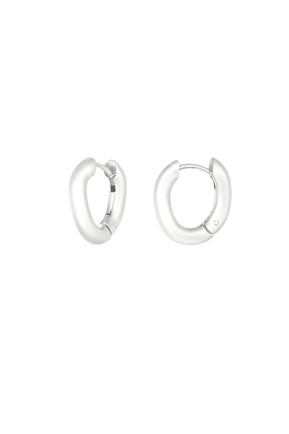 Stylish Irregular Hoop Earrings for Everyday Wear