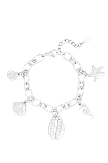 Stylish Stainless Steel Charm Bracelets in Silver & Gold