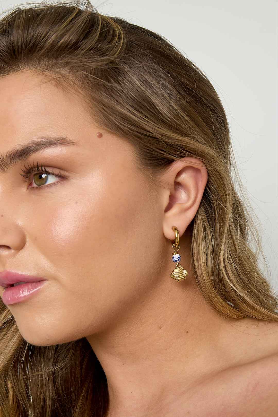 Stainless Steel Dangle Earrings fish Casual Daily Simple Series Women's jewelry