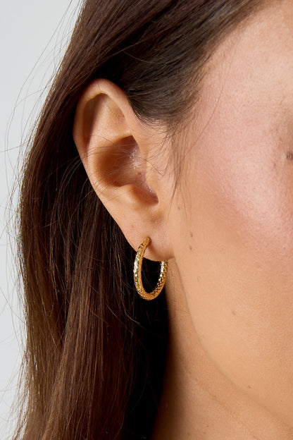 Stylish Stainless Steel Hoop Earrings for Everyday Wear