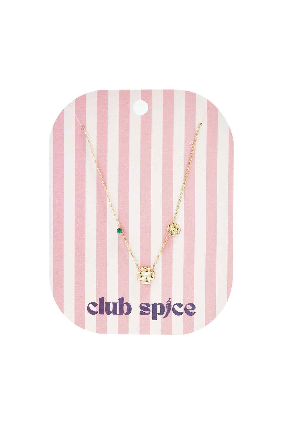 Ketting met klavertjes en gekleurd steentje