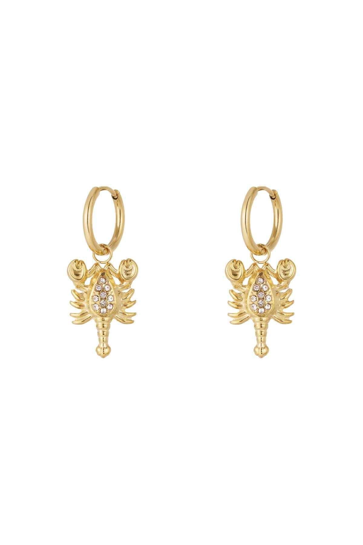 Elegant Drop Earrings for Women - Silver & Gold