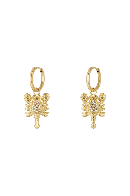 Elegant Drop Earrings for Women - Silver & Gold
