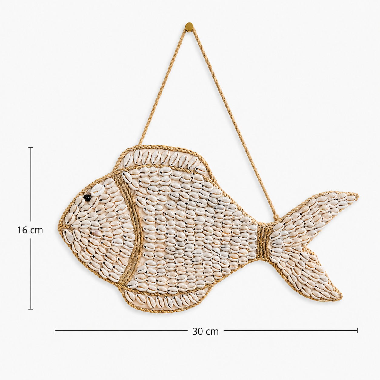 Vis wandhanger met schelpen