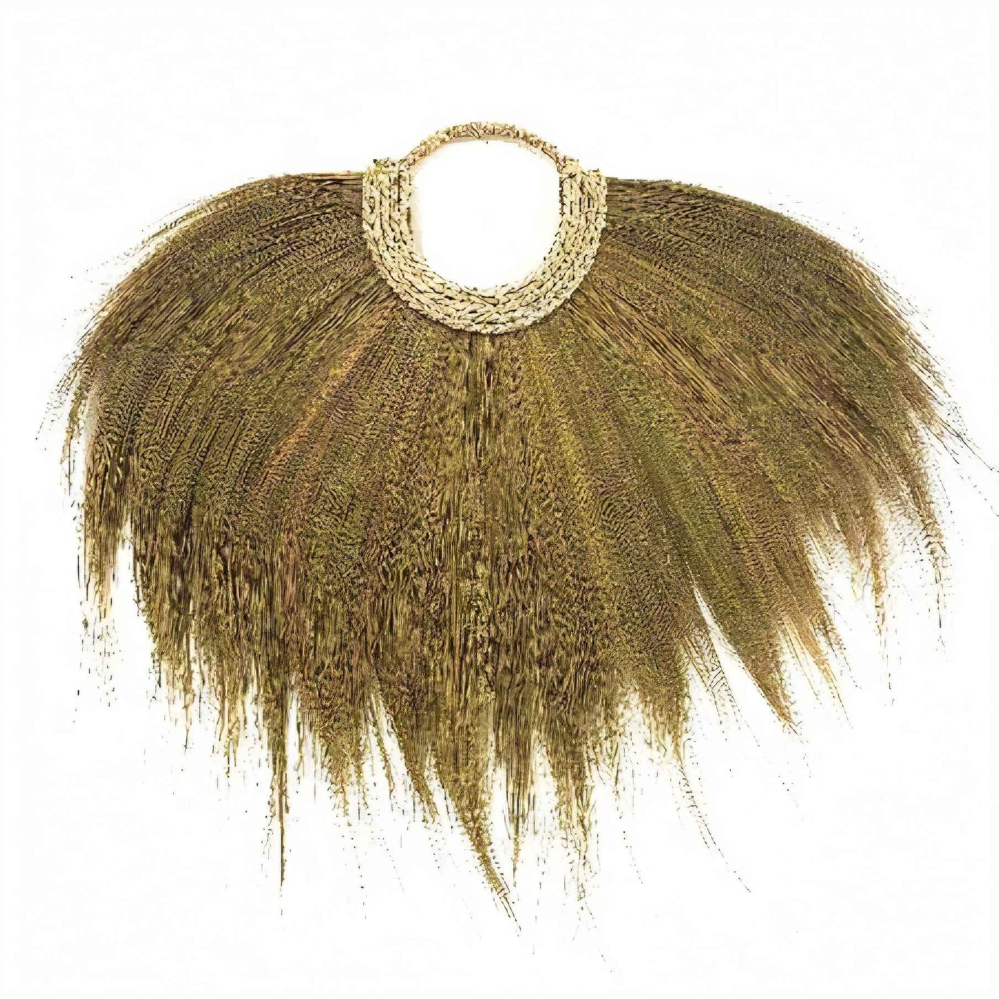 Wandhanger Pampasgras