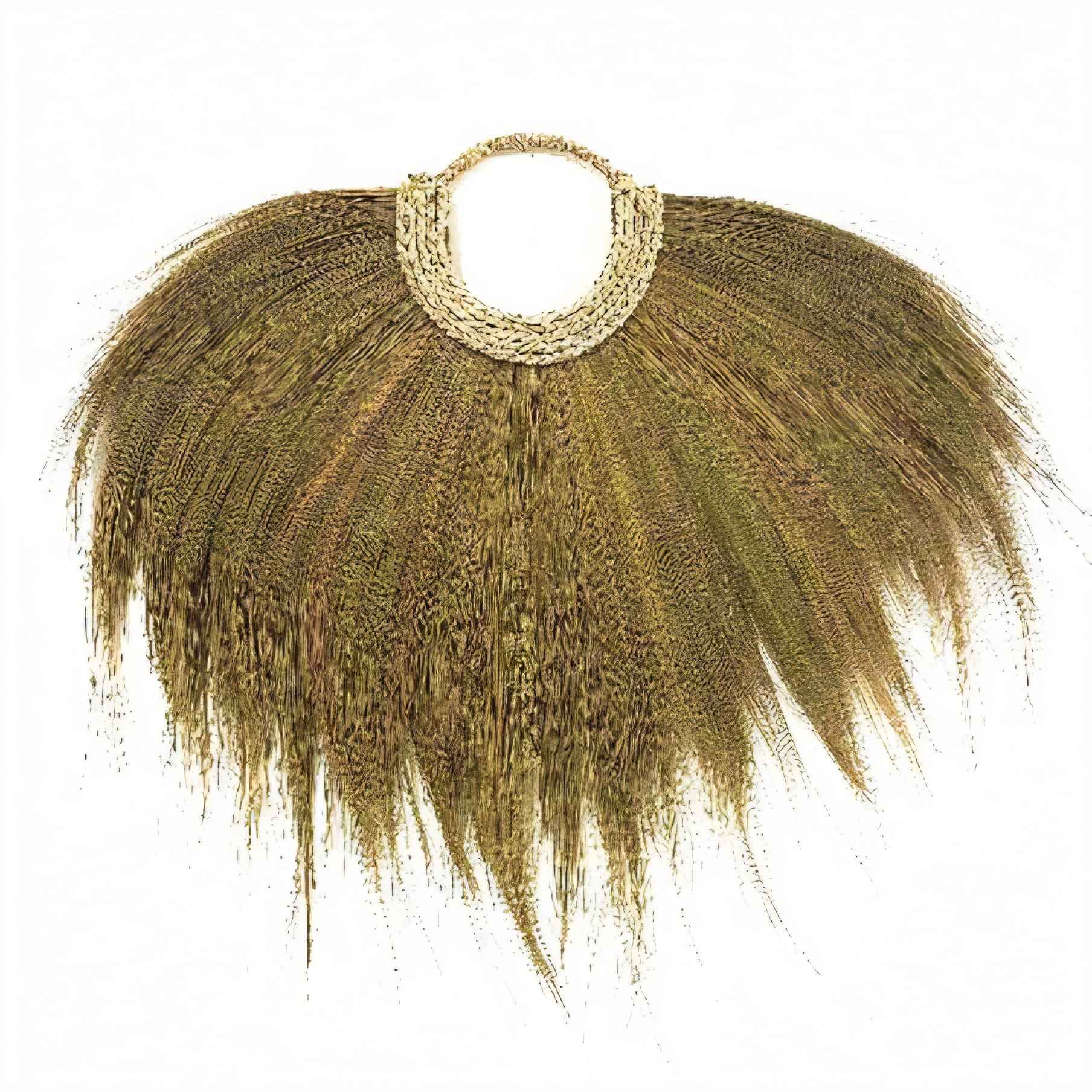 Wandhanger Pampasgras