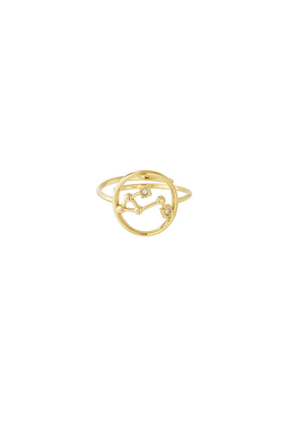 14K Gold Plated Zodiac Statement Ring for Women