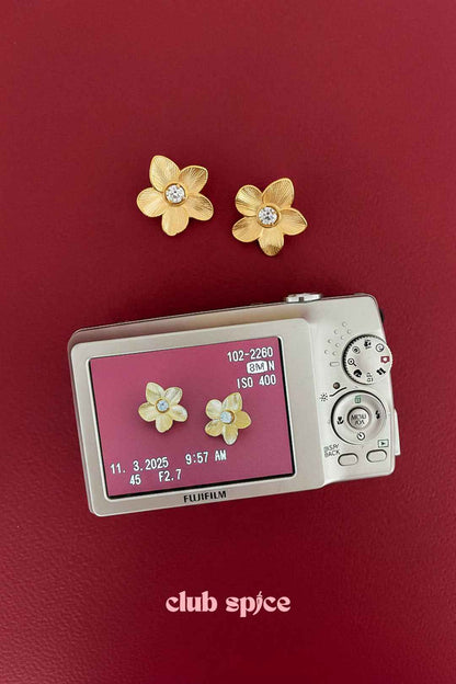 Stainless Steel Stud Earrings Flower Casual Daily Simple Series Women's jewelry