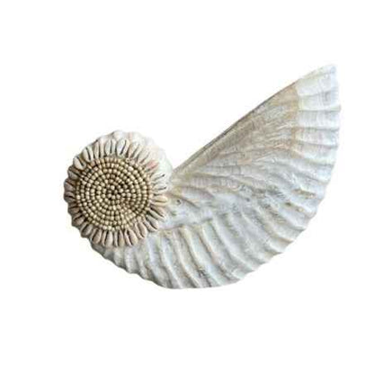 Decoratief Schelpobject Ammoniet – Maat L