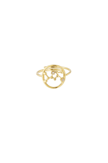 14K Gold Plated Zodiac Statement Ring for Women