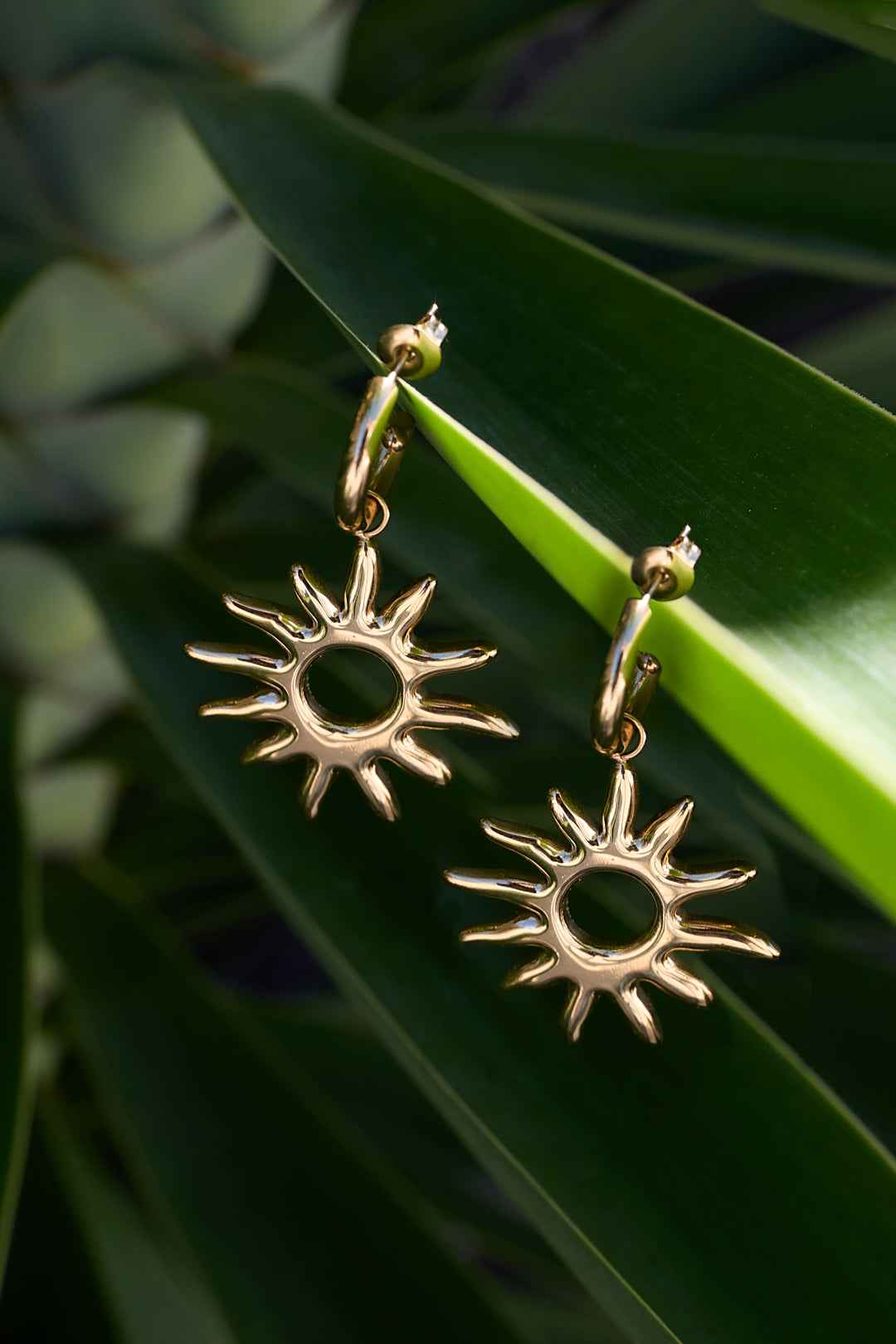 Stainless Steel Drop Earrings sun Casual Daily Simple Series Women's jewelry