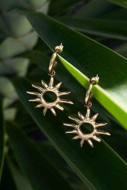 Stainless Steel Drop Earrings sun Casual Daily Simple Series Women's jewelry