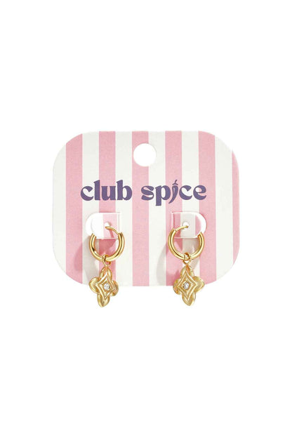 Stainless Steel Drop Earrings Flower Simple Daily Simple Series Women's jewelry