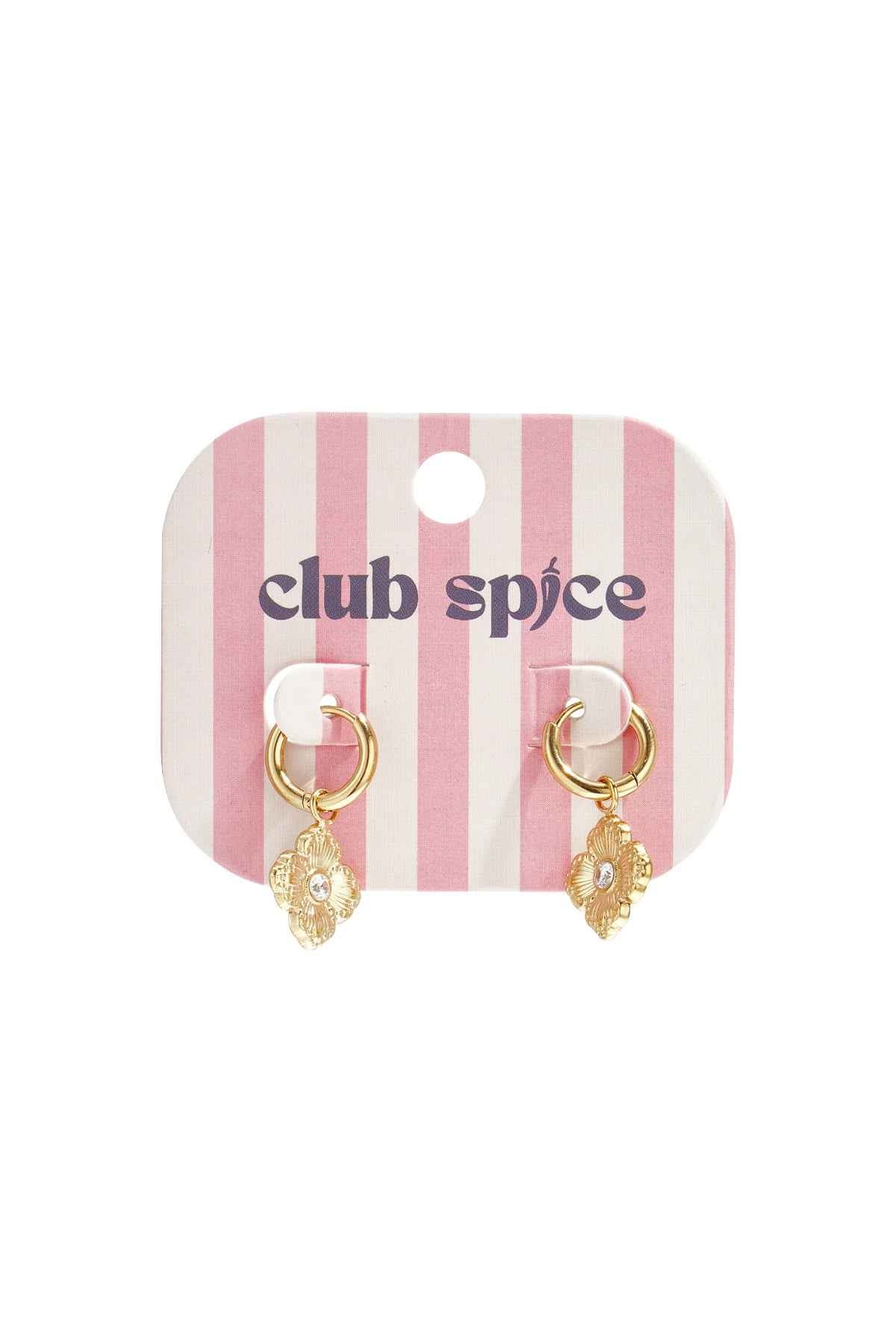 Earrings with elegant clover and stone